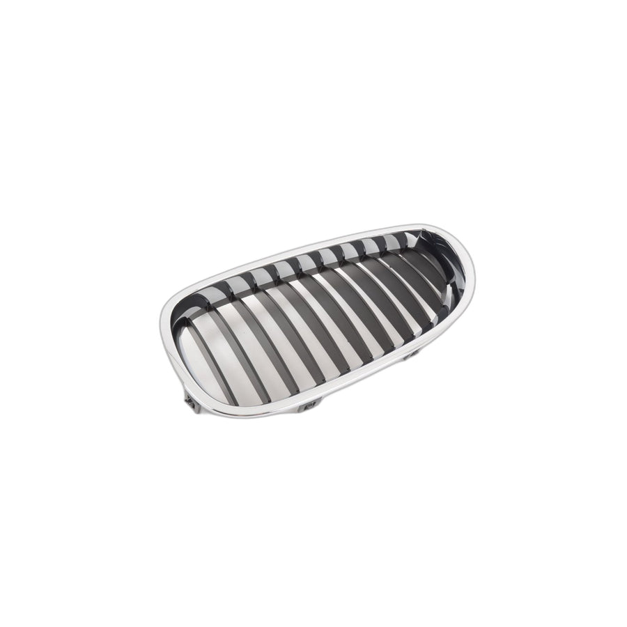 Genuine BMW 51137027061 E60 E61 Grille Left SCHWARZ (Inc. 530xi, 530i & 520d) | ML Performance UK Car Parts