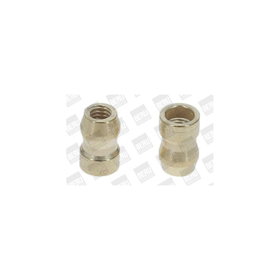 Beru Saej548 Nut