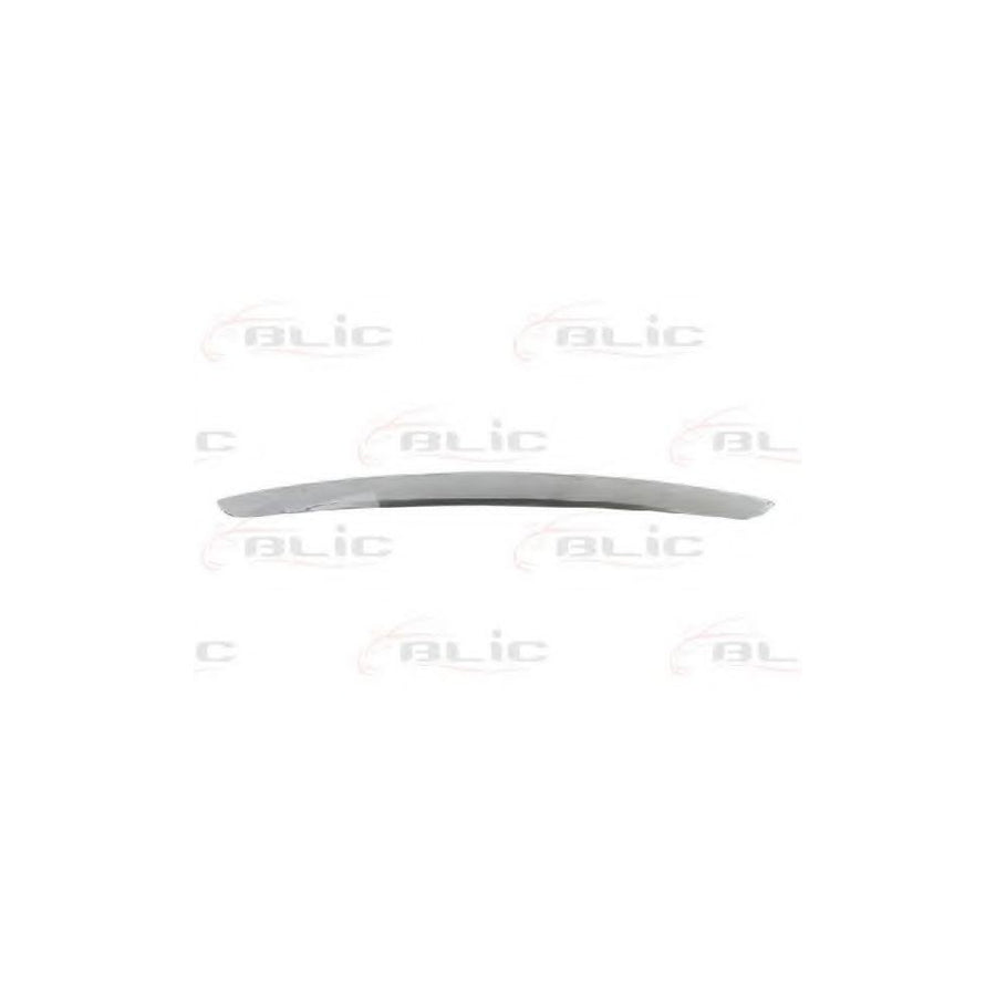 Blic 6502-07-3278210P Trim / Protective Strip, Radiator Grille For Kia Cerato