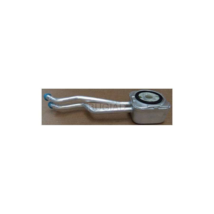 BUGIAD Bsp23088 Engine Oil Cooler