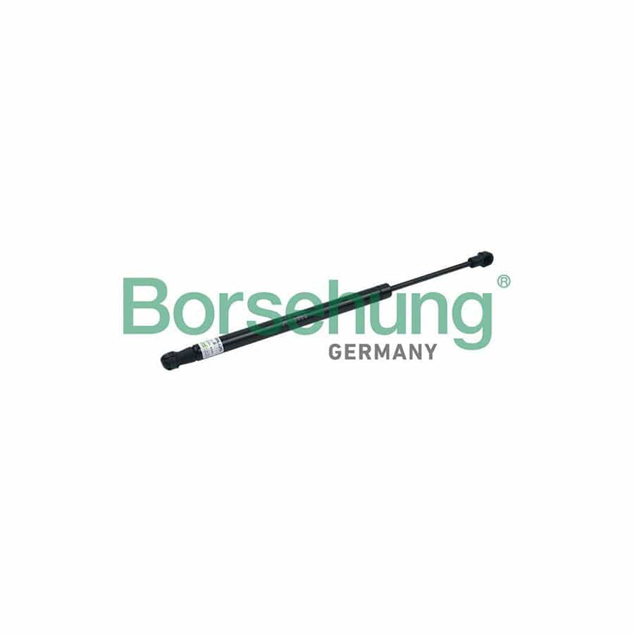 Borsehung B18443 Tailgate Strut for Audi A6 C7 Saloon (4G2, 4Gc)