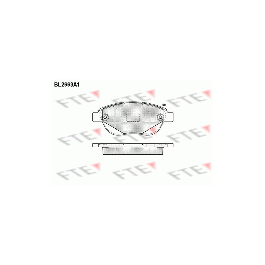 FTE Bl2663A1 Brake Pad Set for Citroã N C4