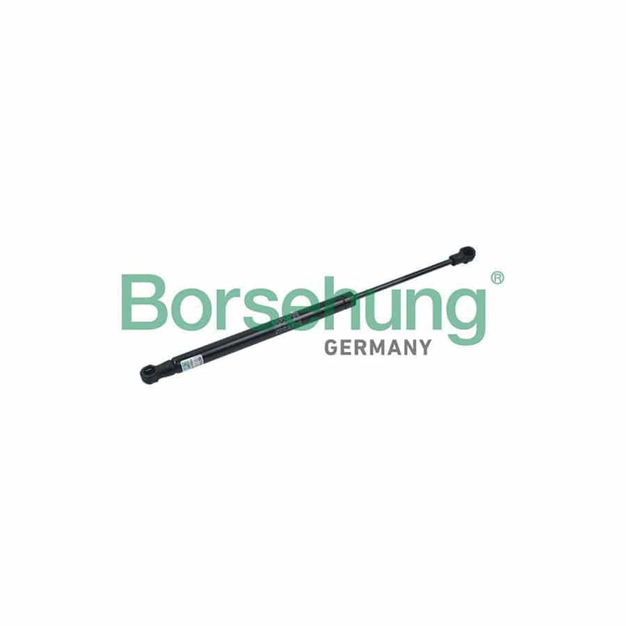 Borsehung B18439 Tailgate Strut for Audi A4 B8 Saloon (8K2)