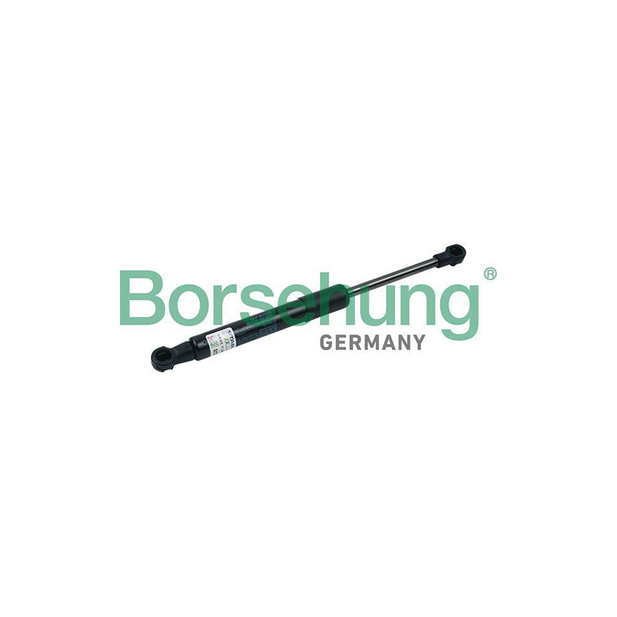 Borsehung B18436 Tailgate Strut for Audi A3 Convertible (8P7)