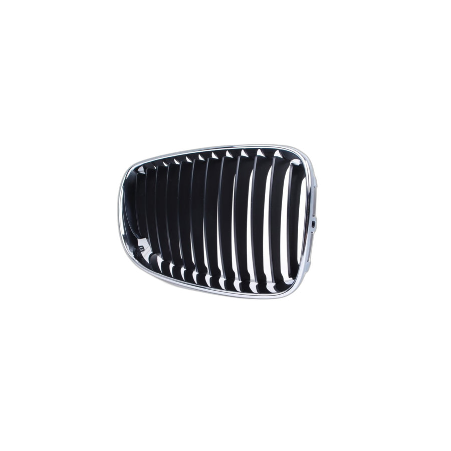 Genuine BMW 51137166440 E87 E82 E81 Grille W Chrome Frame, Right (Inc. 125i, 120i & 135i) | ML Performance UK Car Parts