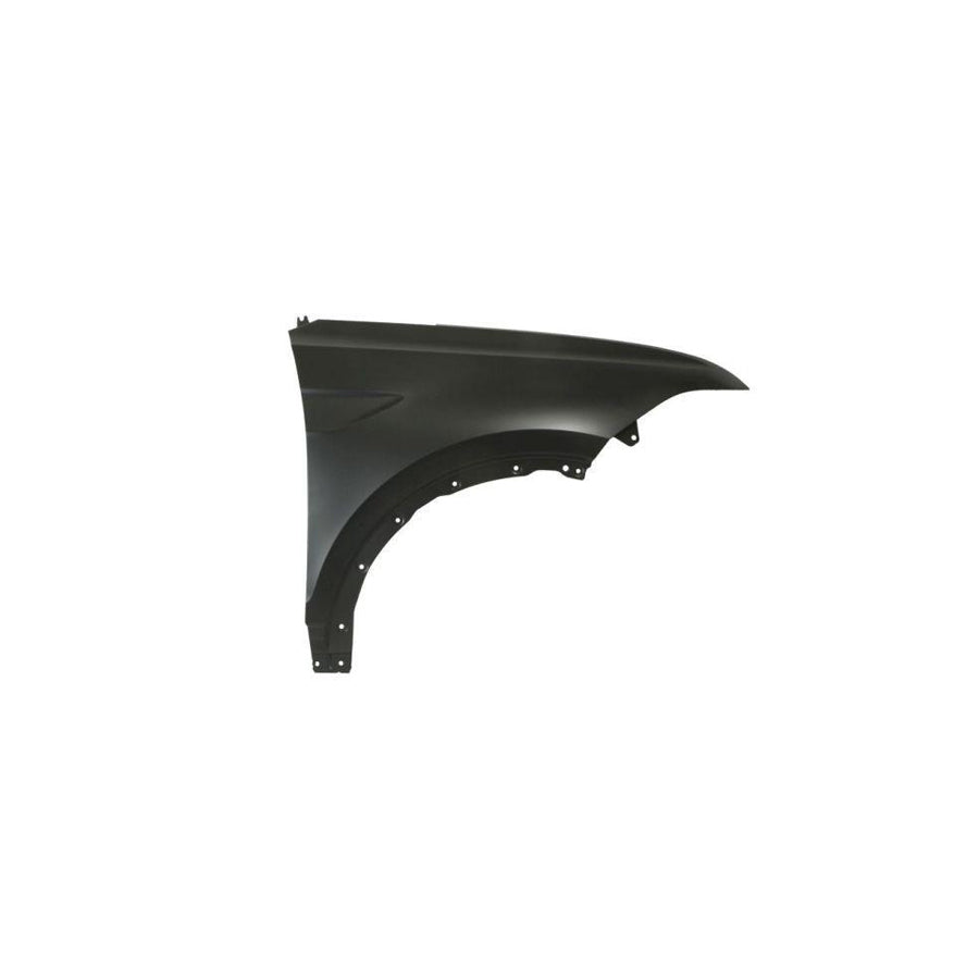 Blic 6504-04-0397312P Wing Fender