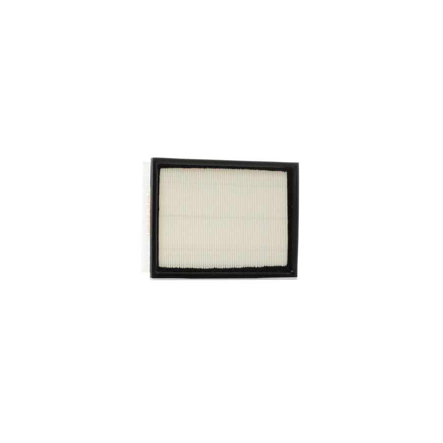 Ridex 8A0324 Air Filter