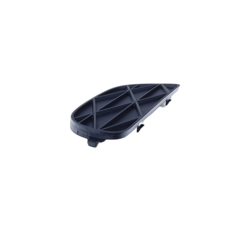 Genuine BMW 51118038287 E70 Closed Grid, Left (Inc. X5) | ML Performance US Car Parts