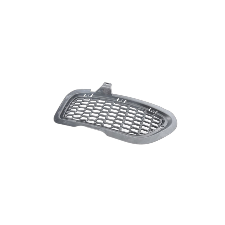 Genuine BMW 51118038092 E89 Grid Lateral Right -M- (Inc. Z4 35i) | ML Performance US Car Parts