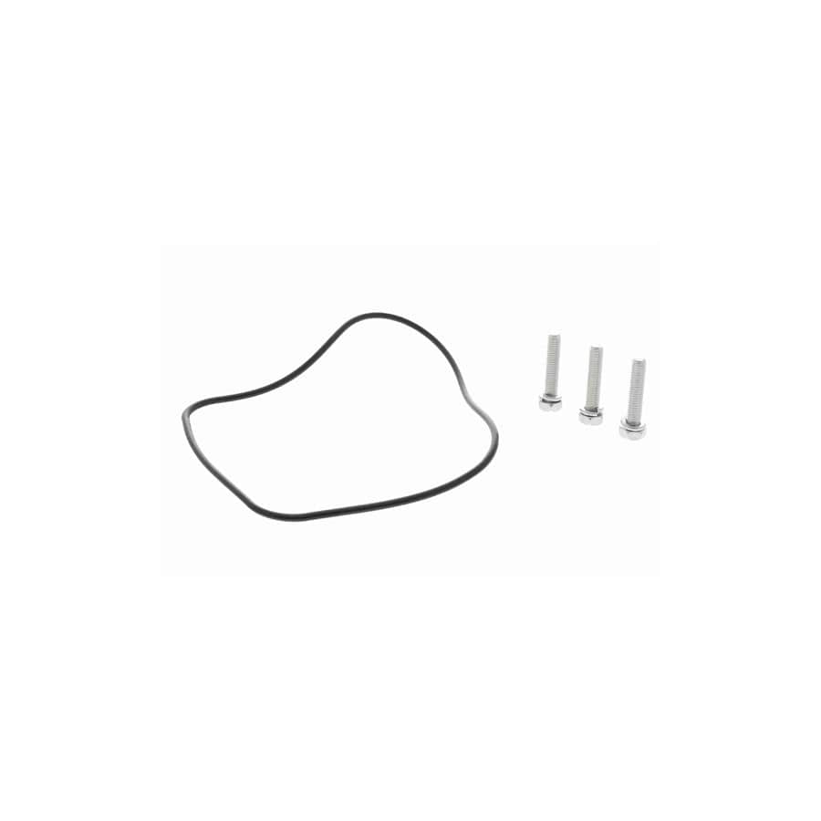 Ackoja A26-70-0019 Distributor Cap | ML Performance US