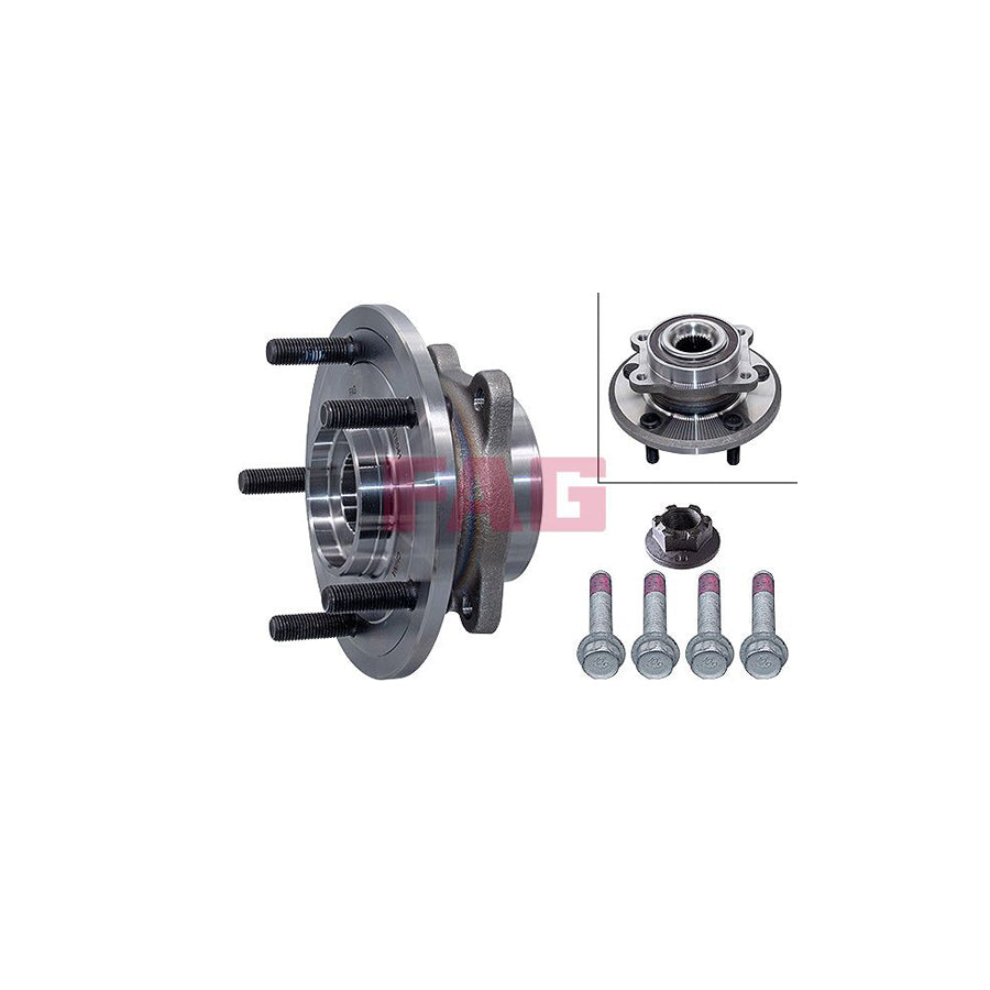 FAG 713 6909 70 Wheel Bearing Kit