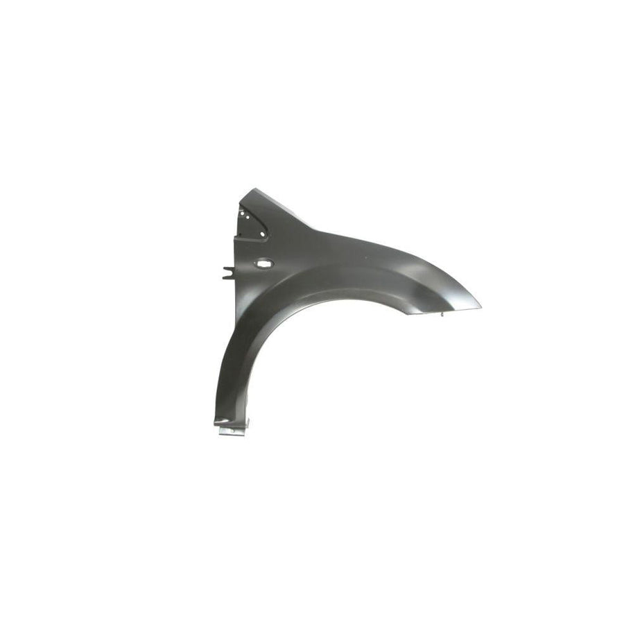 Blic 6504-04-0511312Q Wing Fender For Citroen C2