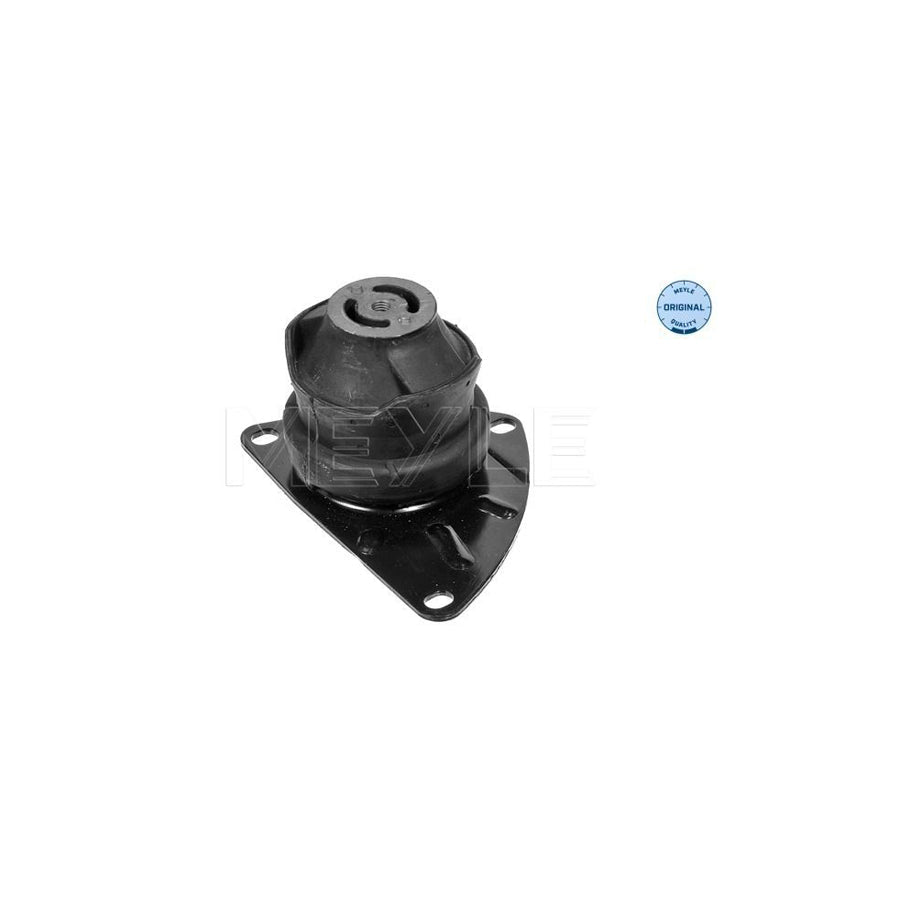Meyle 100 199 0100 Engine Mount