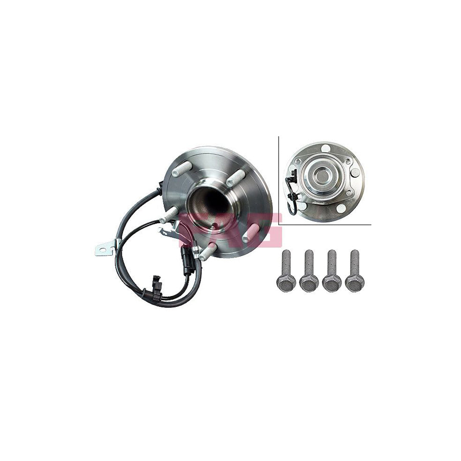FAG 713 6920 10 Wheel Bearing Kit