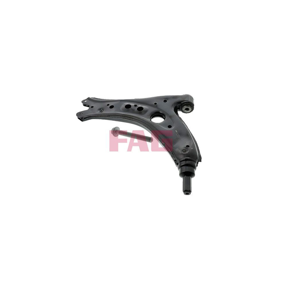 FAG 821 0066 10 Suspension Arm