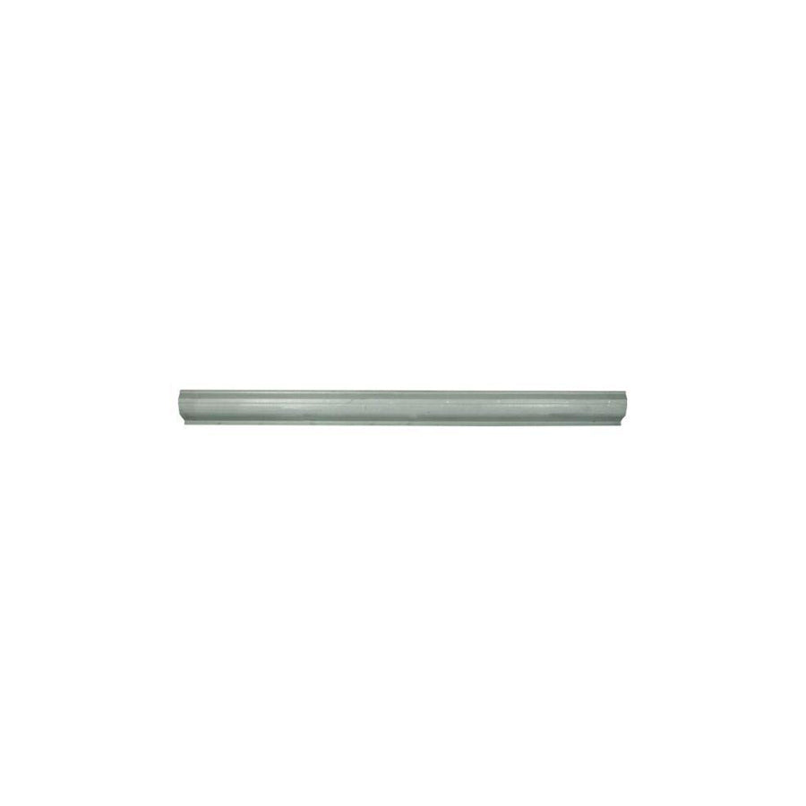 Blic 6505-06-3560010P Rocker Panel Suitable For Mercedes-Benz Ml-Class (W163)