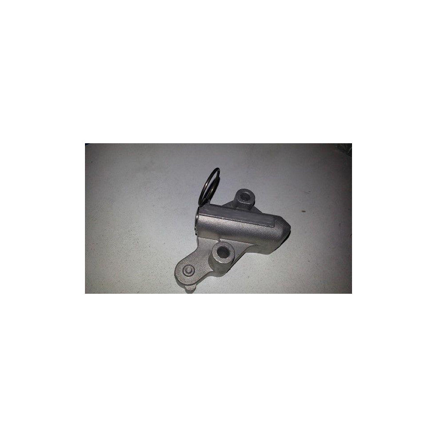 BUGIAD Bsp23142 Timing Chain Tensioner