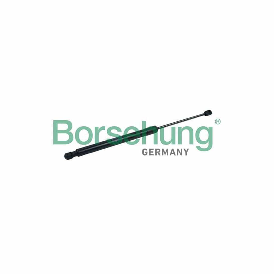 Borsehung B18445 Tailgate Strut for Audi Q5 (8Rb)