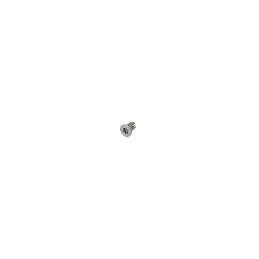 Genuine BMW 54128206394 E36 Torx-Bolt For Plastic Material L=9mm (Inc. 325tds) | ML Performance US Car Parts
