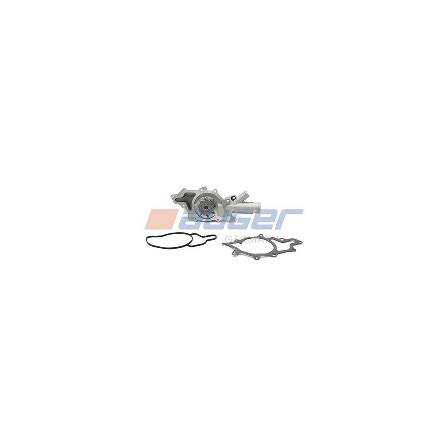 Auger 89815 Water Pump