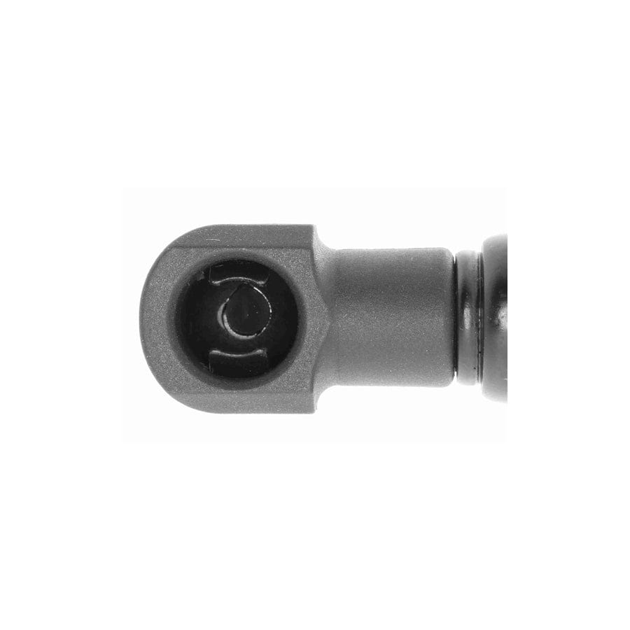 Ackoja A38-0037 Tailgate Strut For Nissan Primera Saloon (P10) | ML Performance US