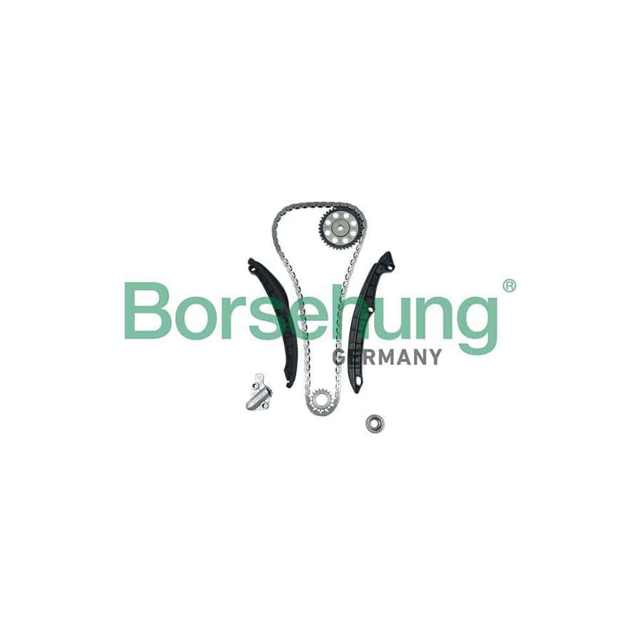 Borsehung B18475 Timing Chain Kit
