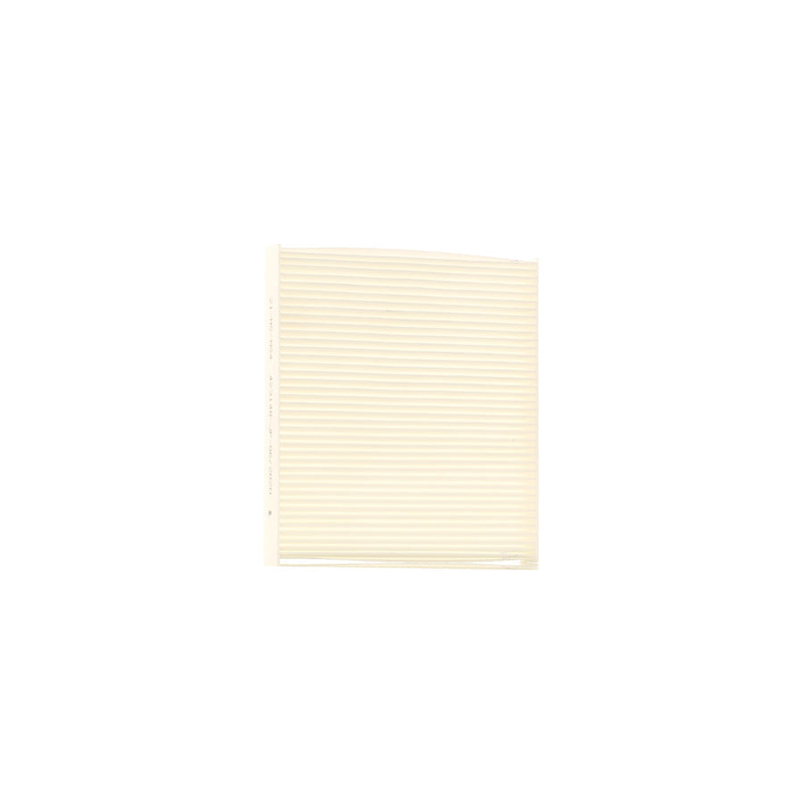 ASHIKA 21-NS-NS4 Pollen Filter