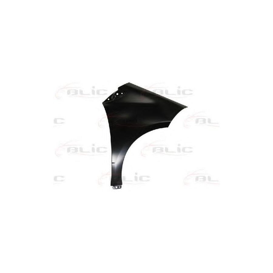 Blic 6504-04-3506312P Wing Fender Suitable For Mercedes-Benz A-Class (W169)