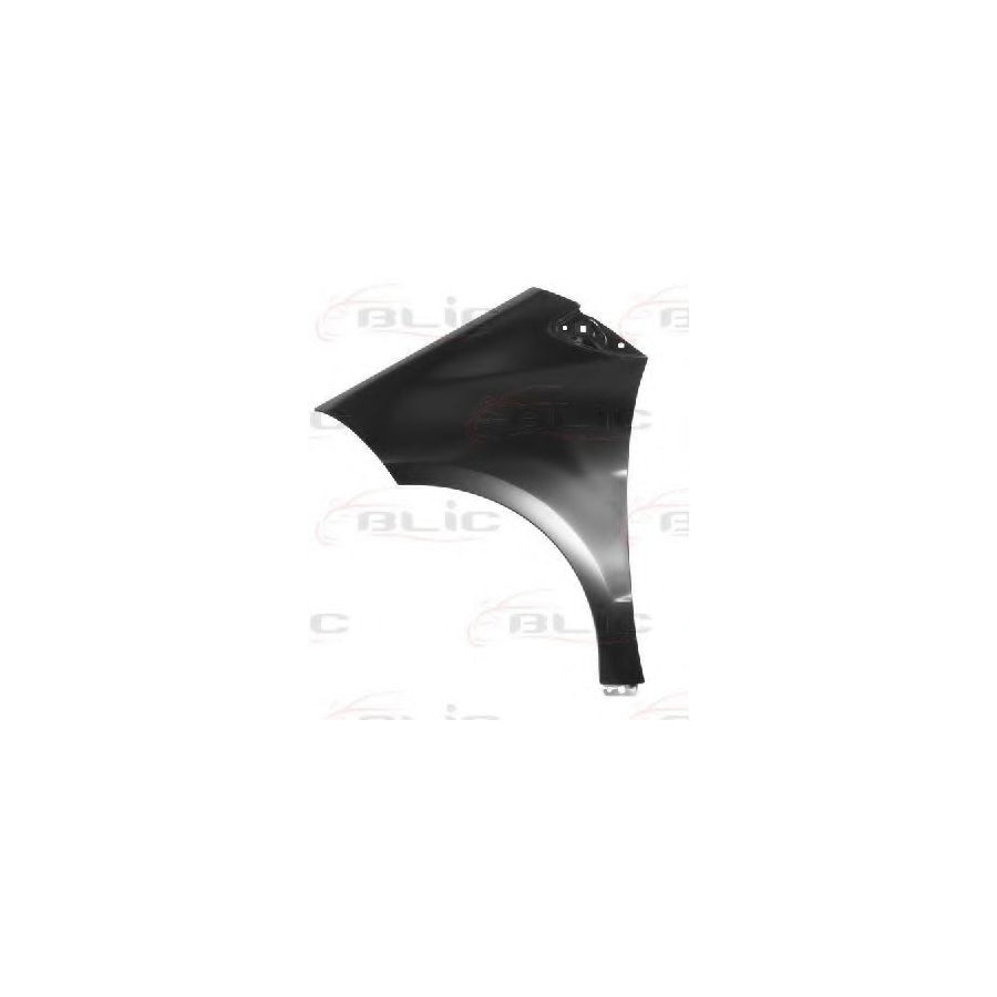 Blic 6504-04-3506311P Wing Fender Suitable For Mercedes-Benz A-Class (W169)