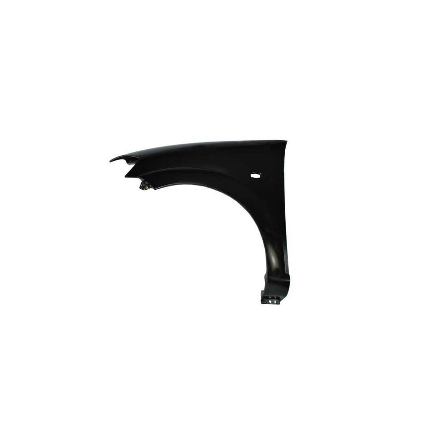 Blic 6504-04-0519313Q Wing Fender For Citroen C3 I Hatchback (Fc, Fn)