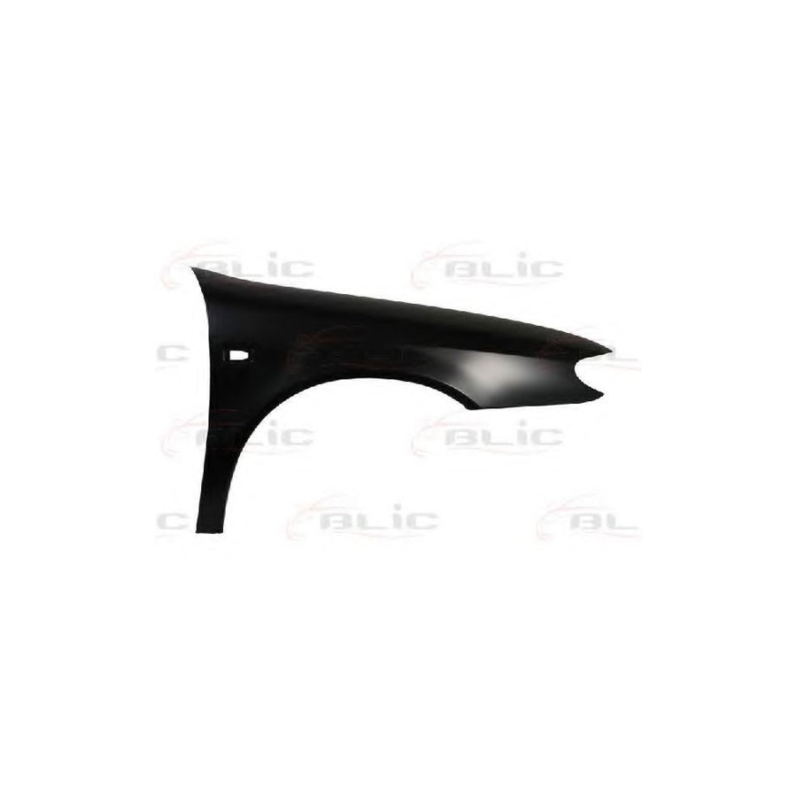 Blic 6504-04-0535312P Wing Fender For Citroen Xsara