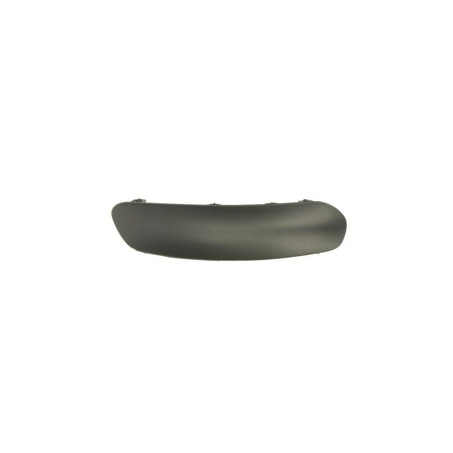 Blic 6502-07-0519926P Bumper Moulding For Citroen C3 I Hatchback (Fc, Fn)