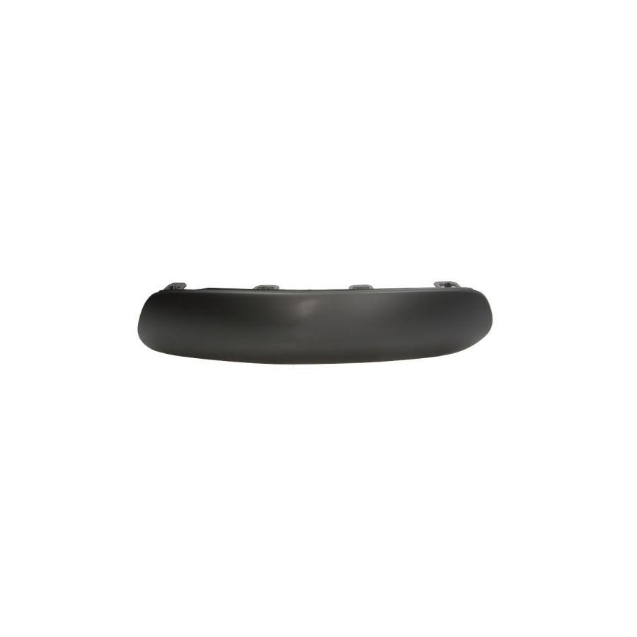 Blic 6502-07-0519925P Bumper Moulding For Citroen C3 I Hatchback (Fc, Fn)
