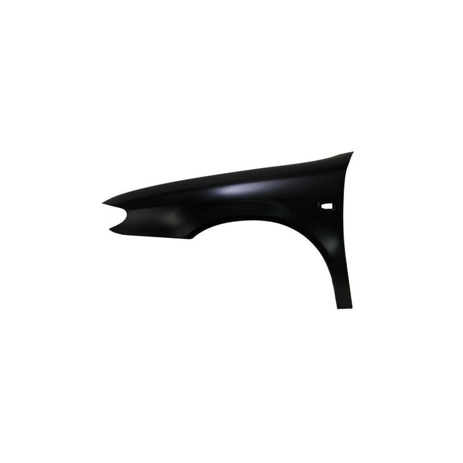 Blic 6504-04-0535311Q Wing Fender For Citroen Xsara