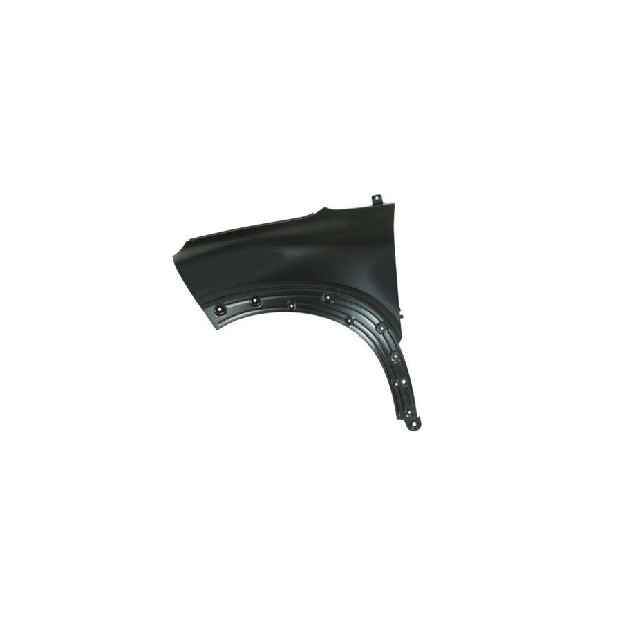 Blic 6504-04-0532315P Wing Fender For Citroen C3 Aircross II (2R, 2C)
