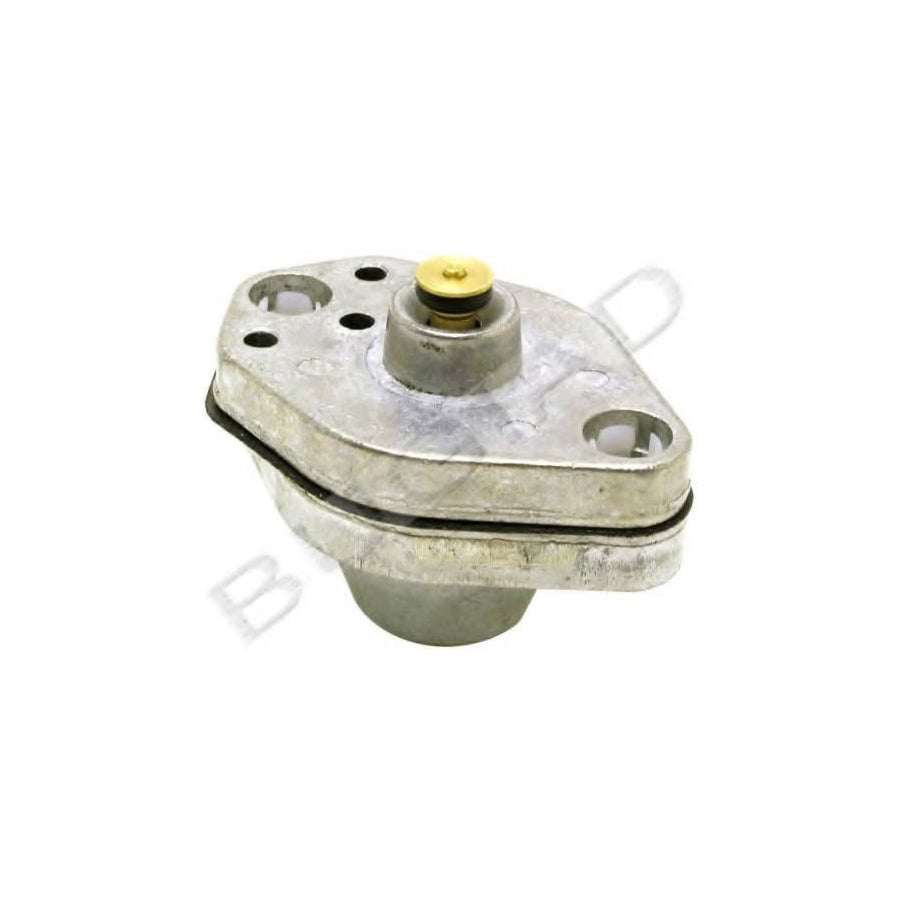 BUGIAD Bsp21483 Membrane