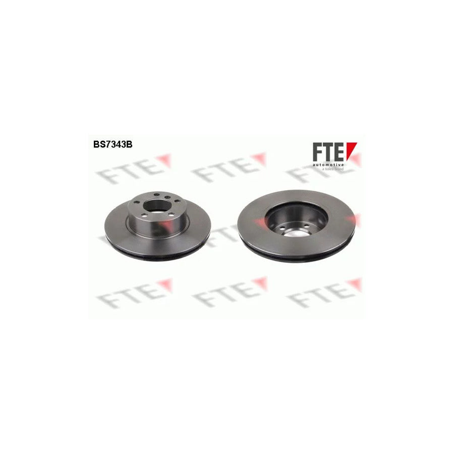 FTE 9081070 Brake Disc