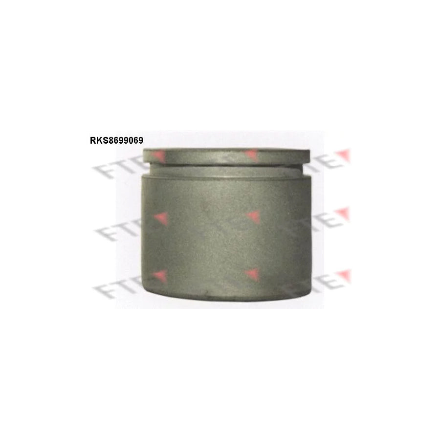 FTE Rks8699069 Piston, Brake Caliper