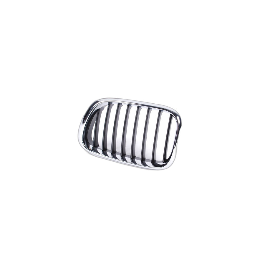 Genuine BMW 51138402645 E53 Grille, Front, Left (Inc. X5 3.0i, X5 4.4i & X5 3.0d) | ML Performance UK Car Parts
