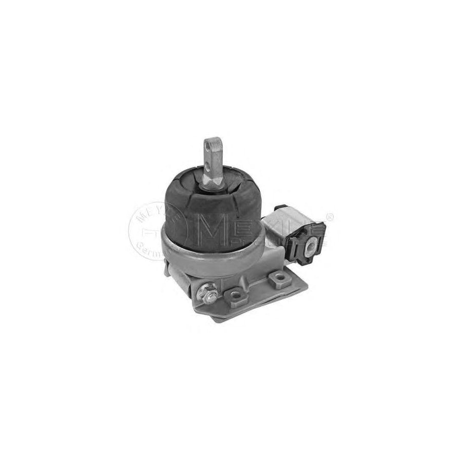 Meyle 100 199 0138 Engine Mount