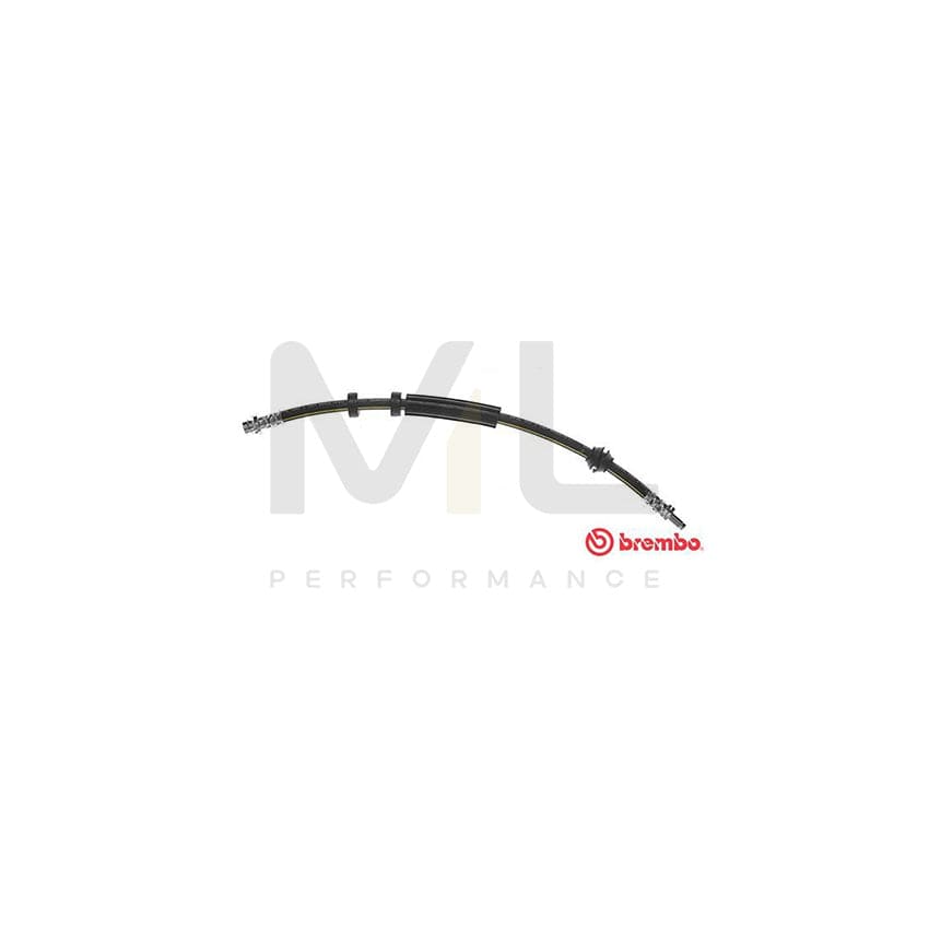 BREMBO T 24 125 Brake Hose 420mm, F10X1 | ML Performance Car Parts
