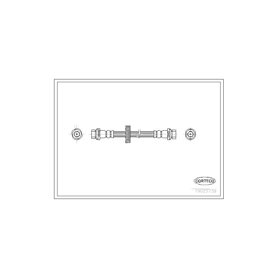 Corteco 19025739 Brake Hose for Ford Focus
