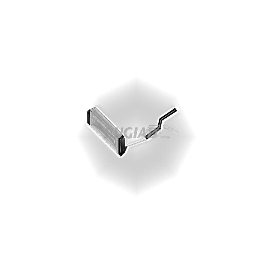 BUGIAD 81602 Charger Intake Hose
