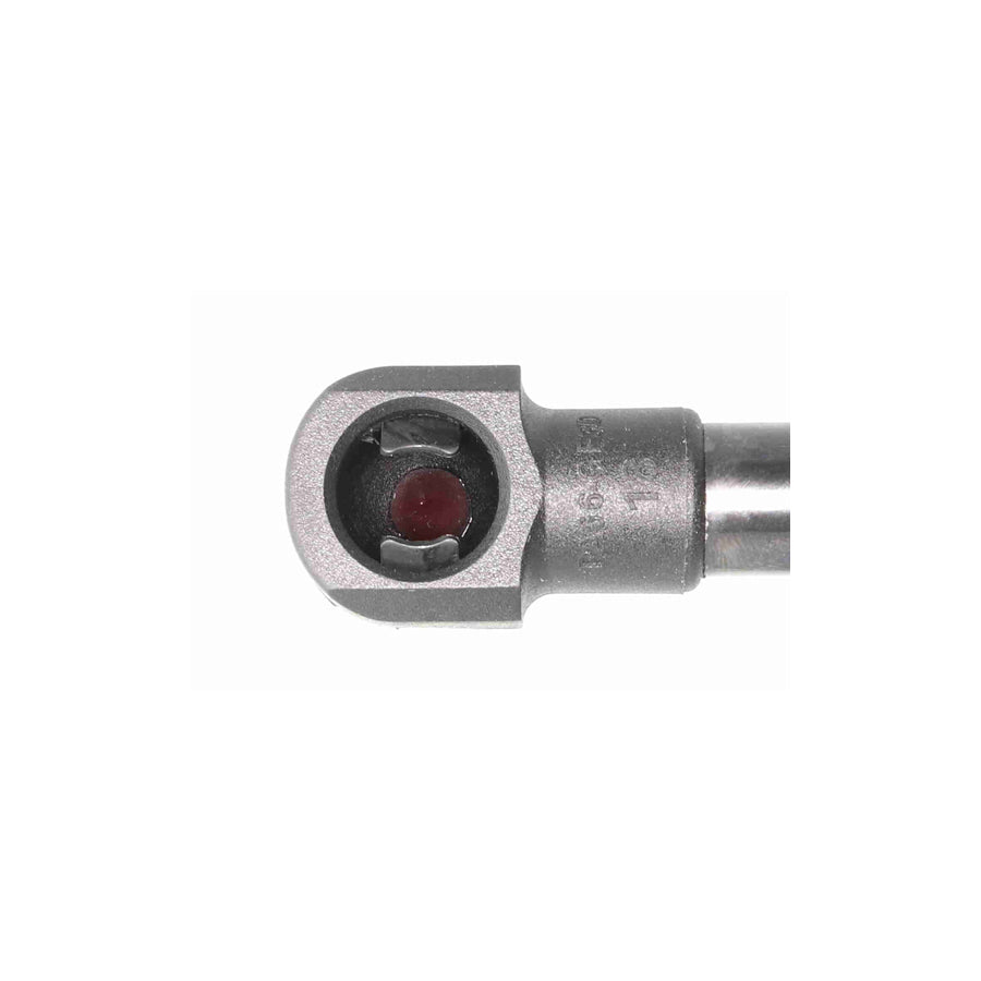 Ackoja A38-0069 Tailgate Strut | ML Performance US