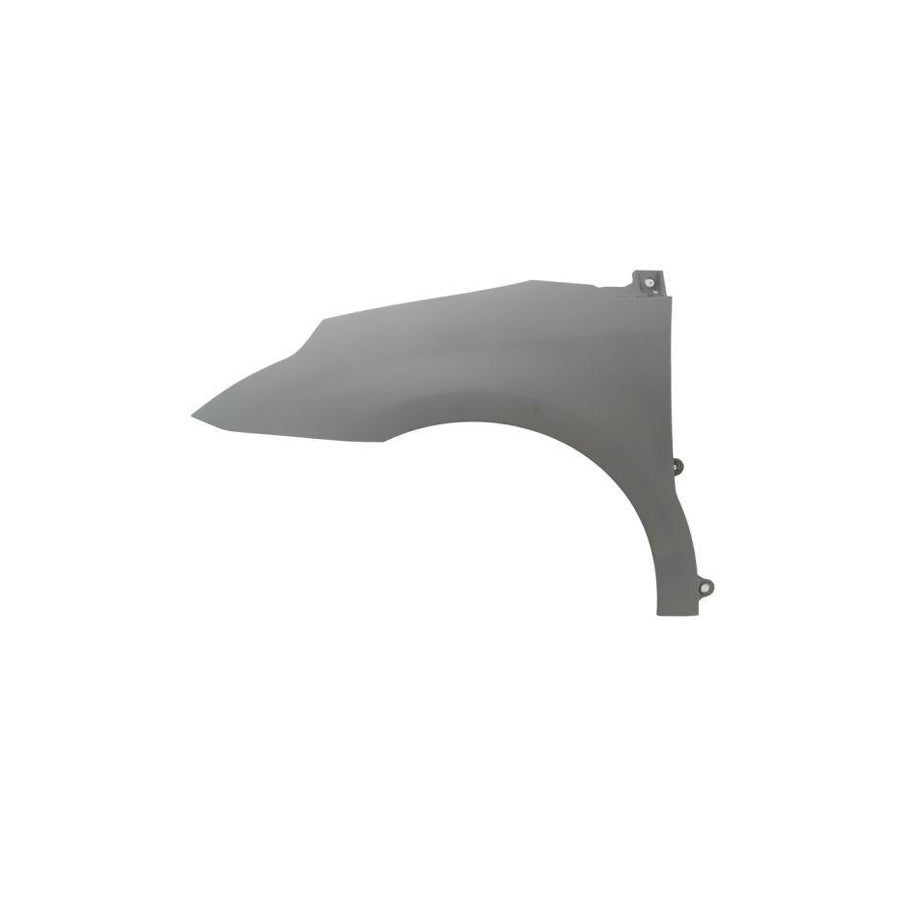 Blic 6504-04-0537311Q Wing Fender For Citroen C4