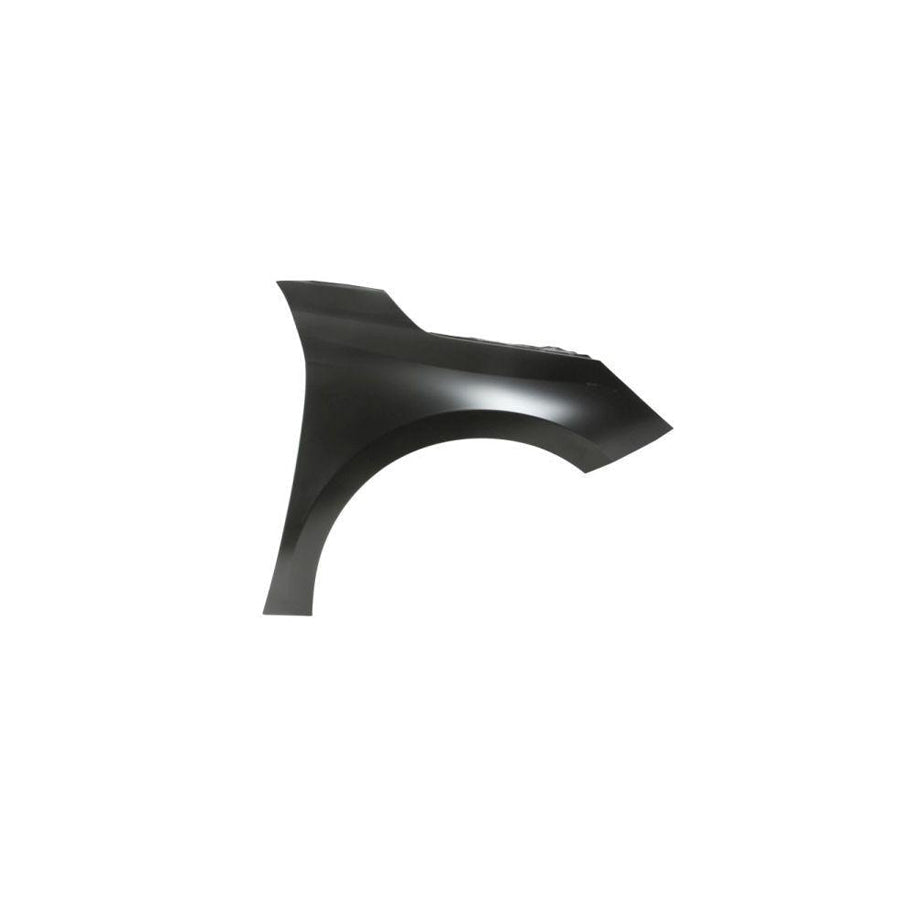 Blic 6504-04-9508312P Wing Fender For VW Polo Vi (Aw1, Bz1)