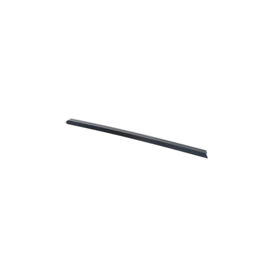 Genuine BMW 51357228030 E70 Inner Weatherstrip, Rear Right Door (Inc. X5) | ML Performance US Car Parts