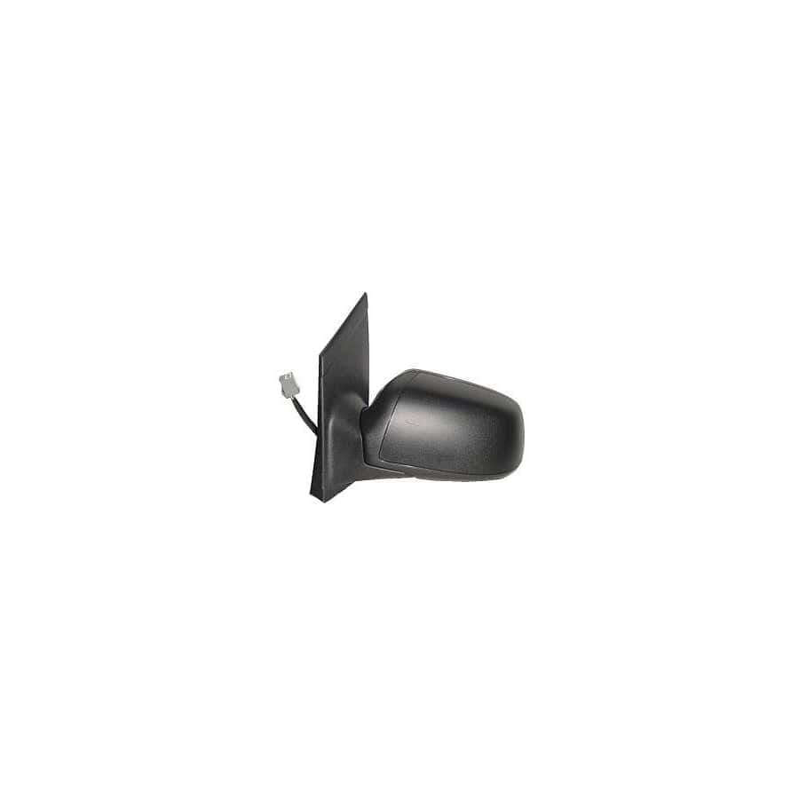 Abakus 1219M09 Wing Mirror for Ford Focus