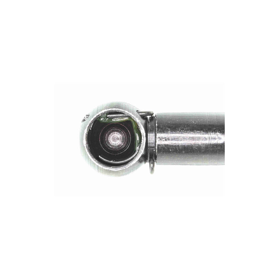 Ackoja A52-0063 Tailgate Strut For Hyundai Amica / Atoz (Mx) | ML Performance US