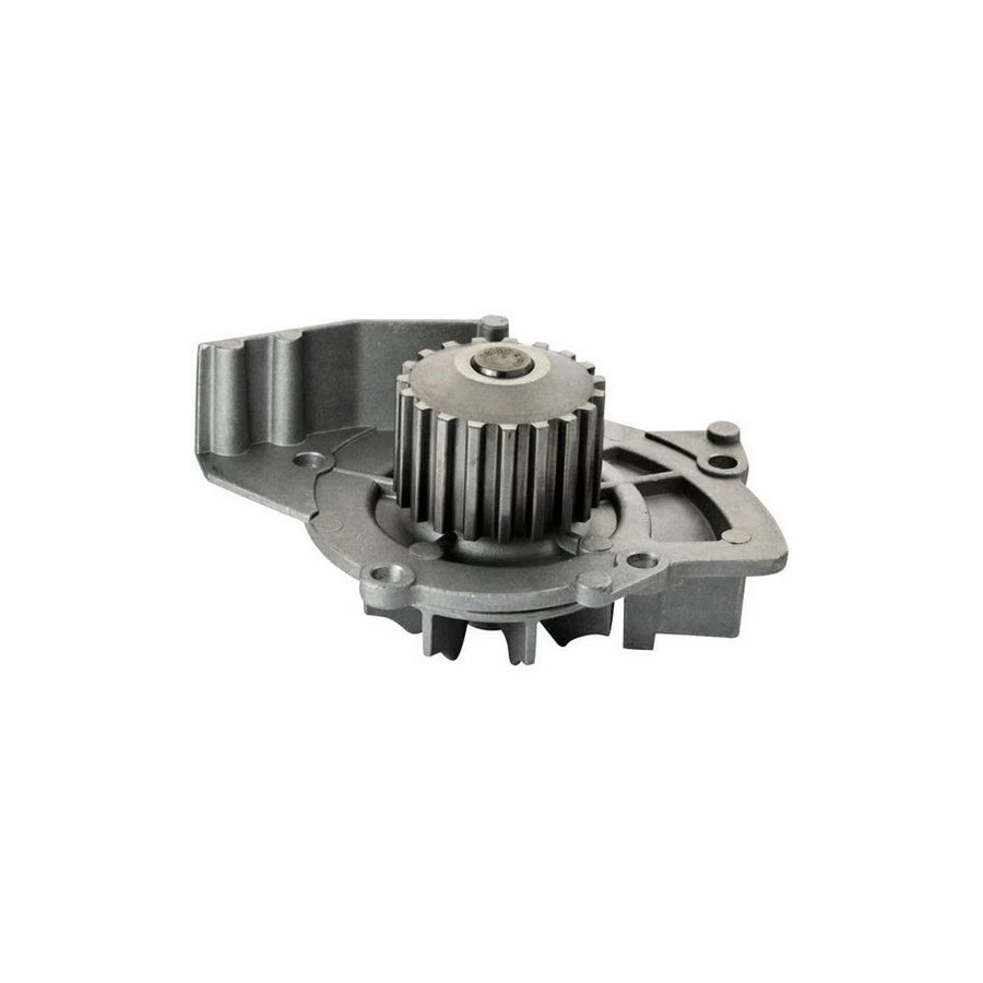 Denckermann A310796P Water Pump